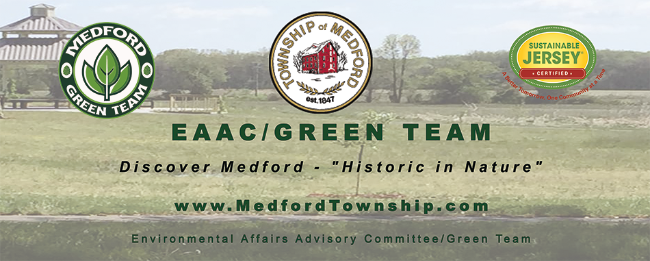 Medford's Environmental Committees
